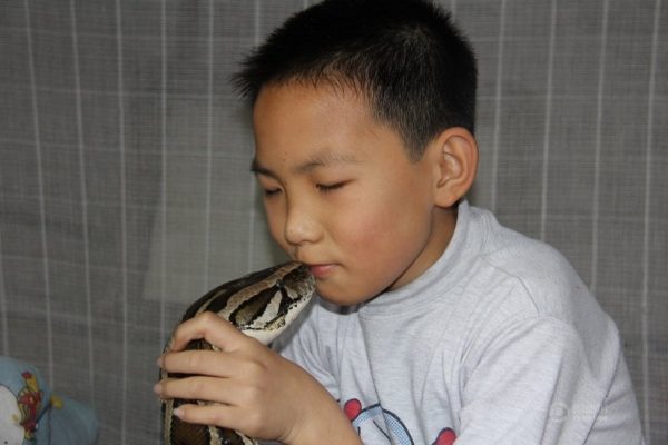 A Zhe is kissing his python.